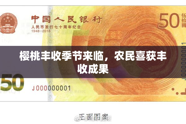 樱桃丰收季节来临，农民喜获丰收成果