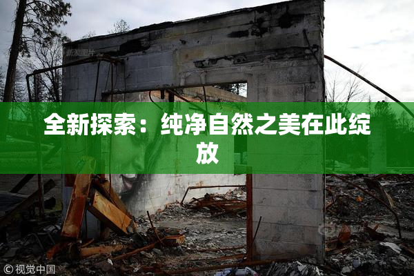 全新探索：纯净自然之美在此绽放