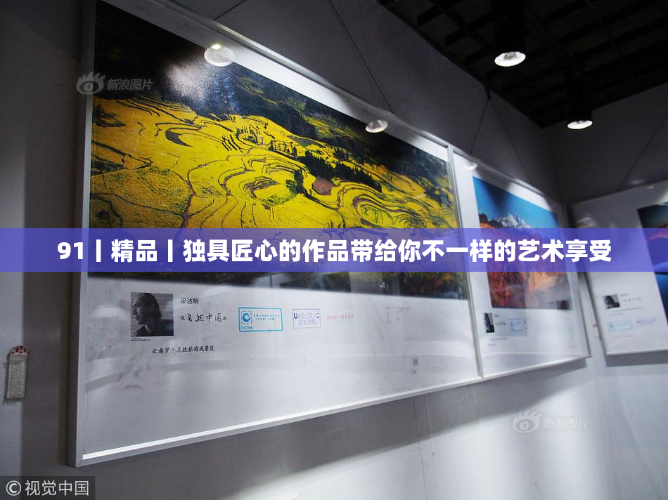 91丨精品丨独具匠心的作品带给你不一样的艺术享受