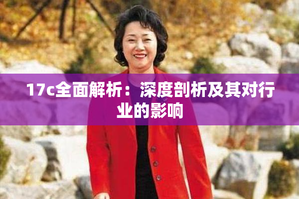 17c全面解析：深度剖析及其对行业的影响