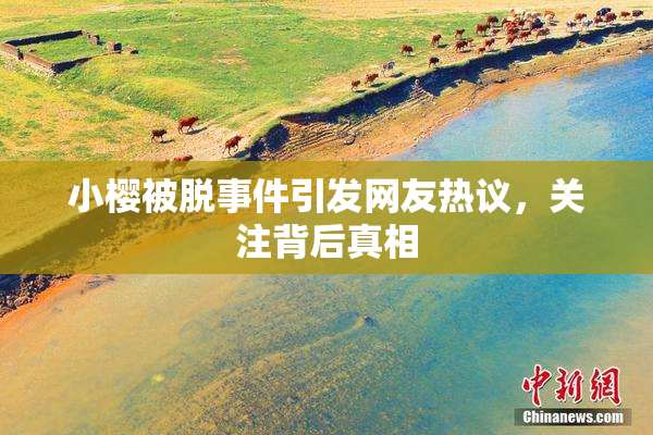小樱被脱事件引发网友热议，关注背后真相