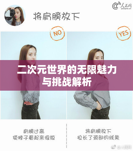 二次元世界的无限魅力与挑战解析