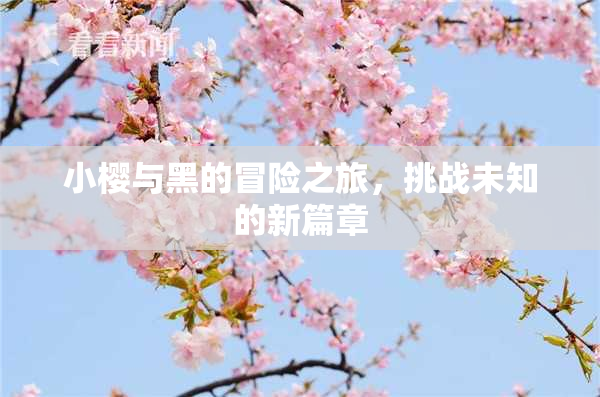 小樱与黑的冒险之旅，挑战未知的新篇章