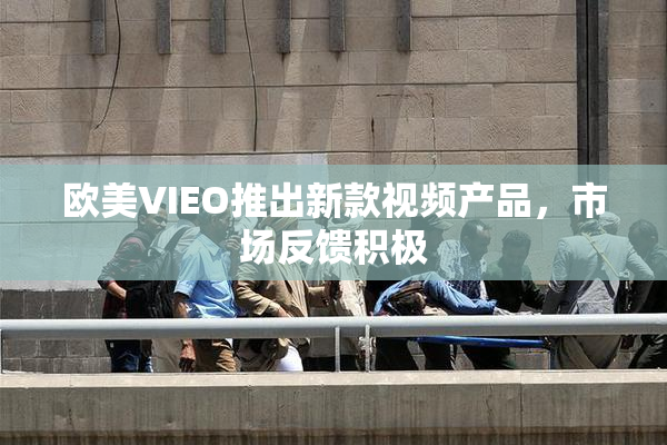 欧美VIEO推出新款视频产品，市场反馈积极