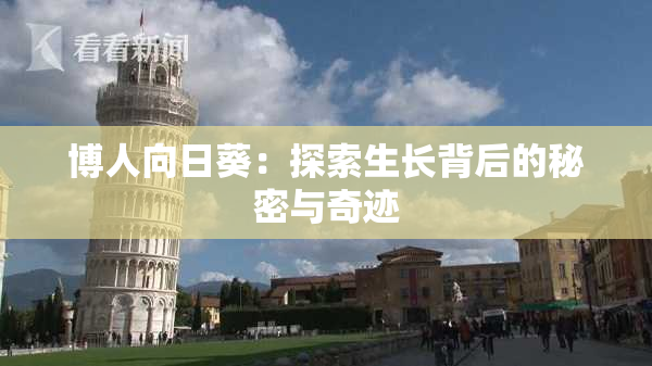 博人向日葵：探索生长背后的秘密与奇迹