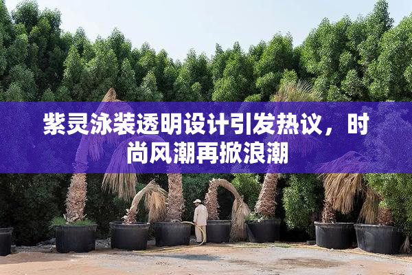 紫灵泳装透明设计引发热议，时尚风潮再掀浪潮