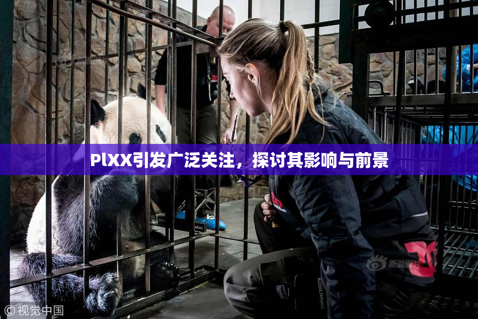 PlXX引发广泛关注，探讨其影响与前景