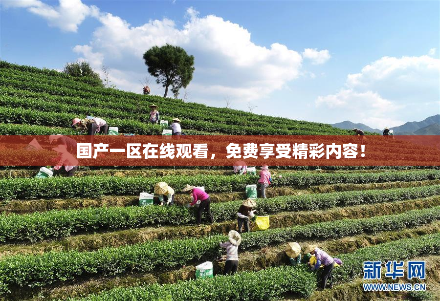 国产一区在线观看，免费享受精彩内容！