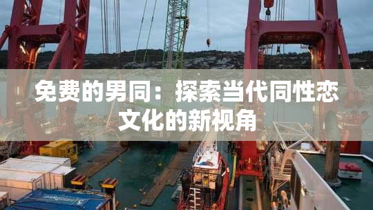 免费的男同：探索当代同性恋文化的新视角