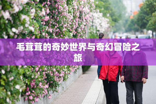 毛茸茸的奇妙世界与奇幻冒险之旅