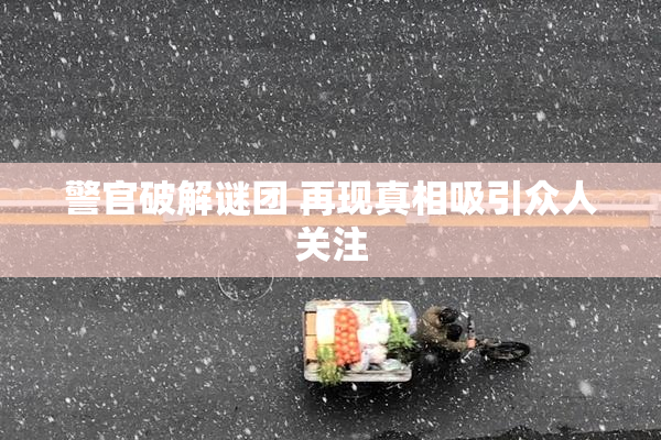 警官破解谜团 再现真相吸引众人关注