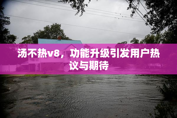 汤不热v8，功能升级引发用户热议与期待