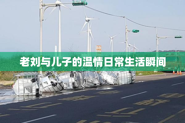 老刘与儿子的温情日常生活瞬间