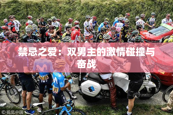 禁忌之爱：双男主的激情碰撞与奋战