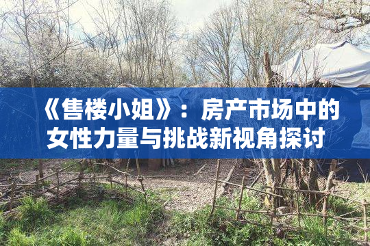 《售楼小姐》：房产市场中的女性力量与挑战新视角探讨