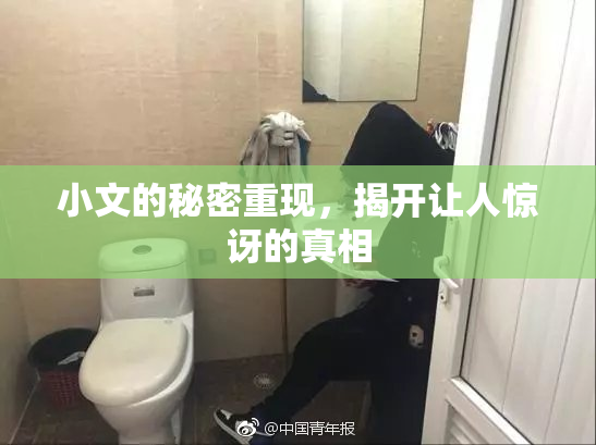 小文的秘密重现，揭开让人惊讶的真相