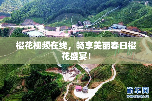 樱花视频在线，畅享美丽春日樱花盛宴！