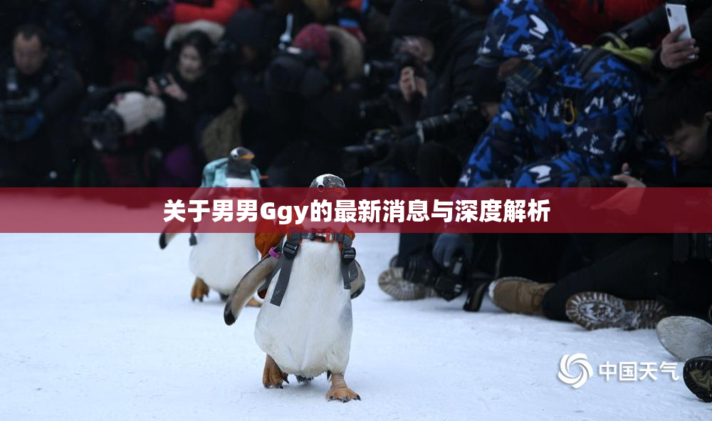 关于男男Ggy的最新消息与深度解析