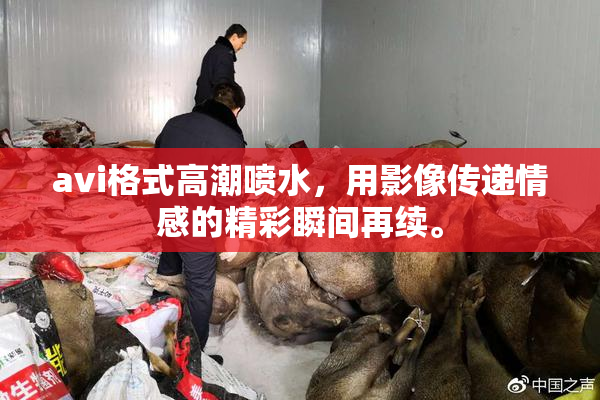 avi格式高潮喷水，用影像传递情感的精彩瞬间再续。