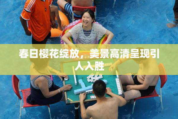 春日樱花绽放，美景高清呈现引人入胜