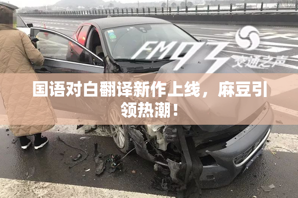 国语对白翻译新作上线，麻豆引领热潮！