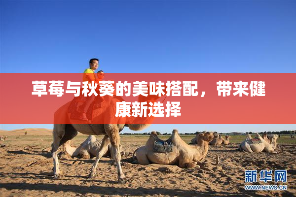 草莓与秋葵的美味搭配，带来健康新选择
