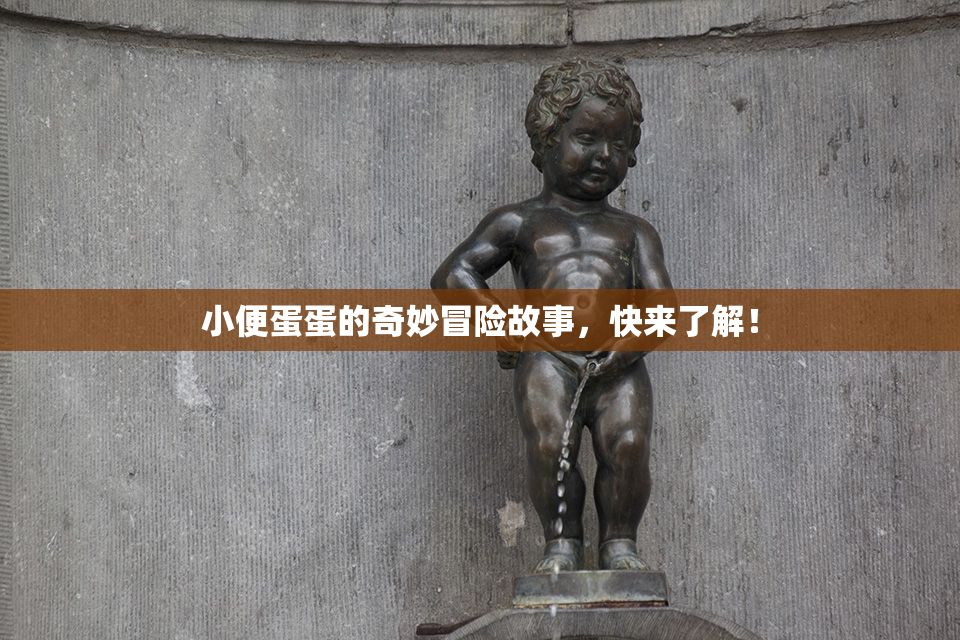小便蛋蛋的奇妙冒险故事，快来了解！