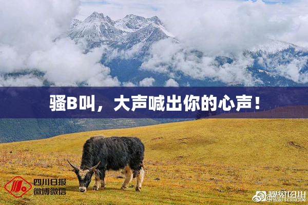骚B叫，大声喊出你的心声！