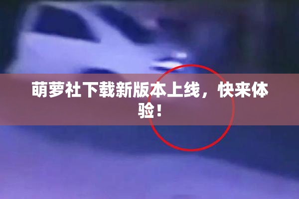 萌萝社下载新版本上线，快来体验！