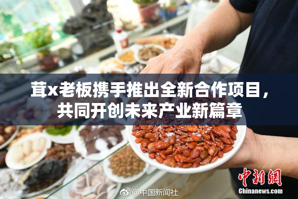 茸x老板携手推出全新合作项目，共同开创未来产业新篇章
