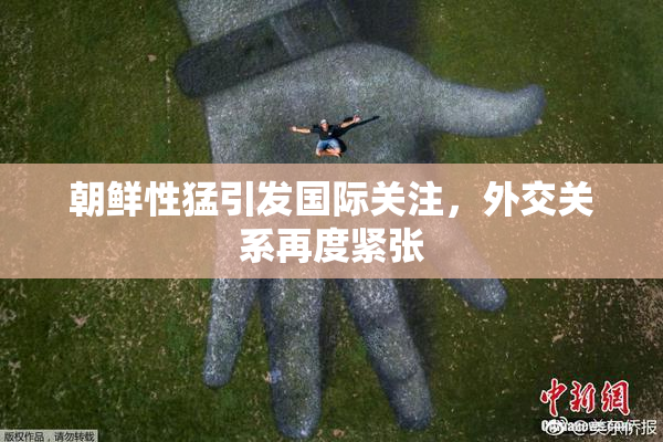 朝鲜性猛引发国际关注，外交关系再度紧张