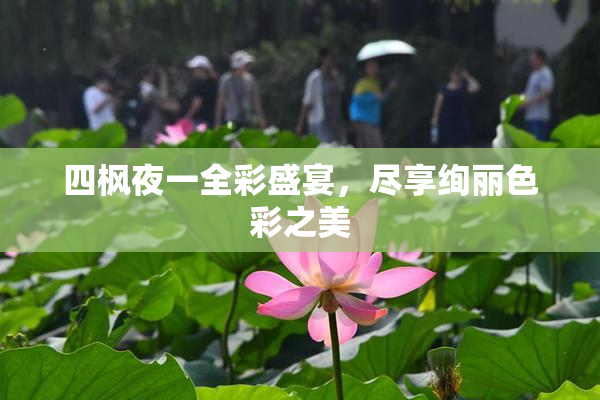 四枫夜一全彩盛宴，尽享绚丽色彩之美