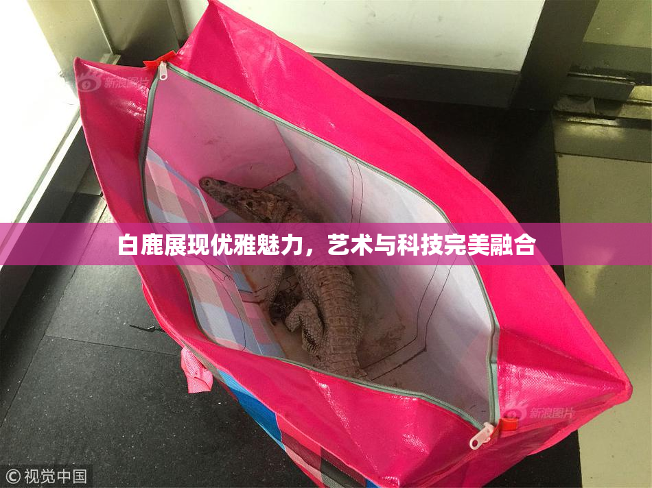 白鹿展现优雅魅力，艺术与科技完美融合