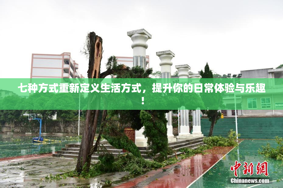 七种方式重新定义生活方式，提升你的日常体验与乐趣！