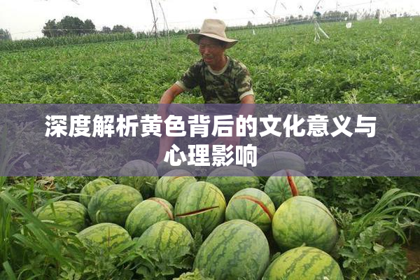 深度解析黄色背后的文化意义与心理影响