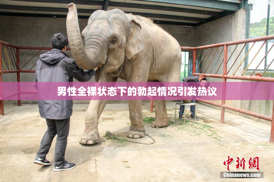 男性全裸状态下的勃起情况引发热议