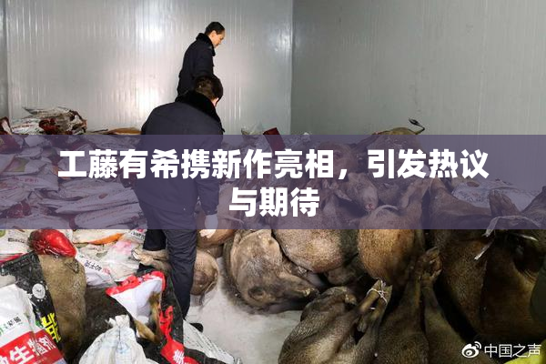工藤有希携新作亮相，引发热议与期待