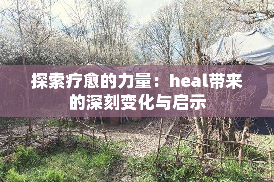 探索疗愈的力量：heal带来的深刻变化与启示