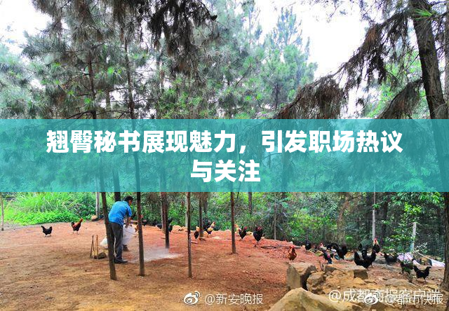 翘臀秘书展现魅力，引发职场热议与关注