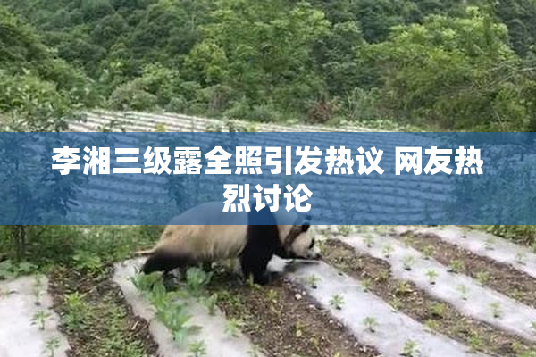 李湘三级露全照引发热议 网友热烈讨论