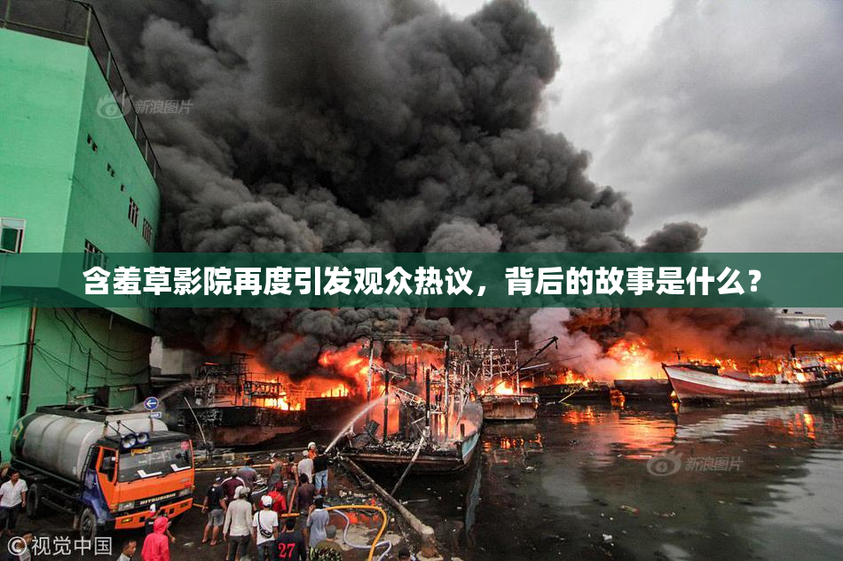 含羞草影院再度引发观众热议，背后的故事是什么？