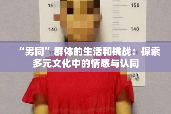 “男同”群体的生活和挑战：探索多元文化中的情感与认同