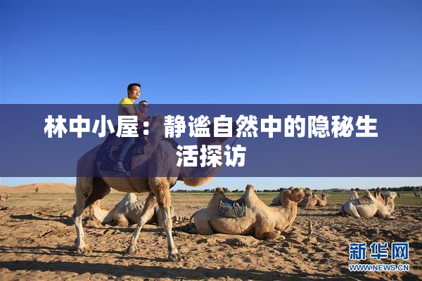 林中小屋：静谧自然中的隐秘生活探访