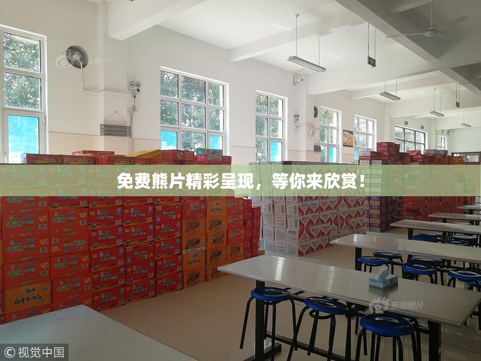 免费熊片精彩呈现，等你来欣赏！