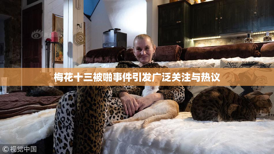 梅花十三被啪事件引发广泛关注与热议