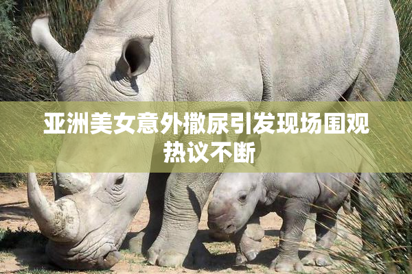 亚洲美女意外撒尿引发现场围观 热议不断