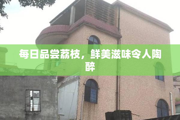 每日品尝荔枝，鲜美滋味令人陶醉