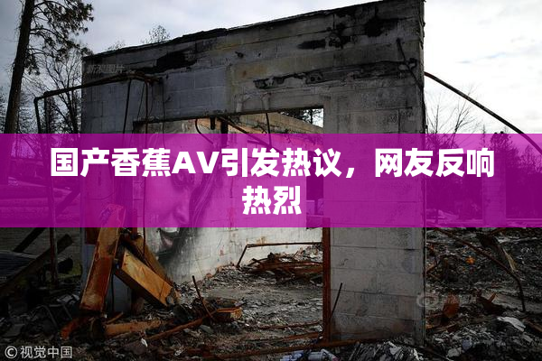 国产香蕉AV引发热议，网友反响热烈