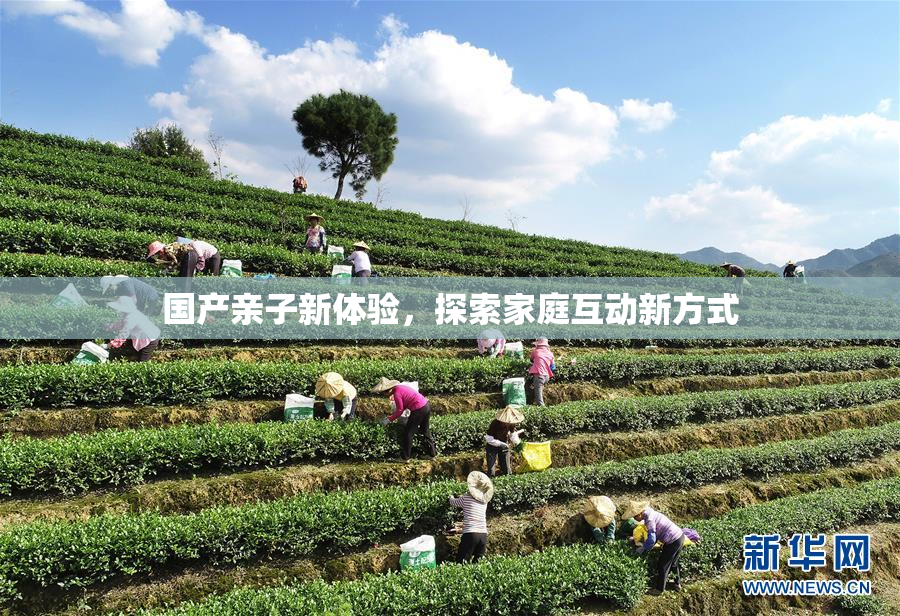 国产亲子新体验，探索家庭互动新方式