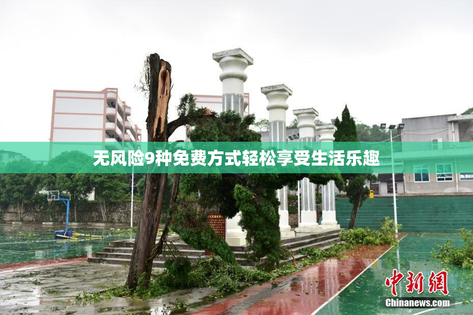 无风险9种免费方式轻松享受生活乐趣